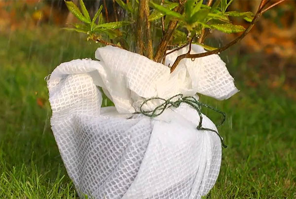 Technical Absorbents – Agrotas